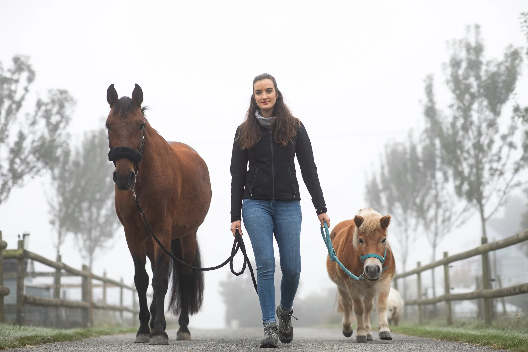 femme qui promène un cheval et un poney