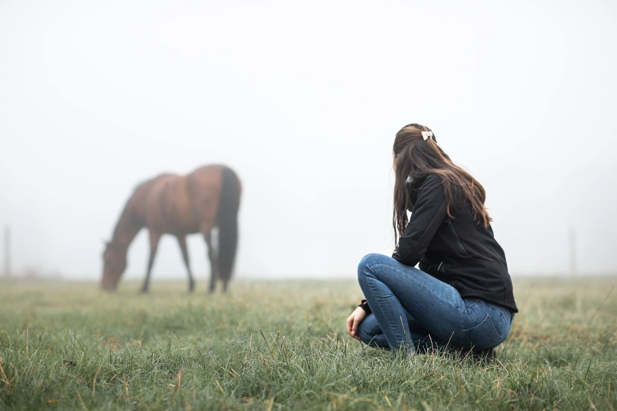 femme qui regarde un cheval
