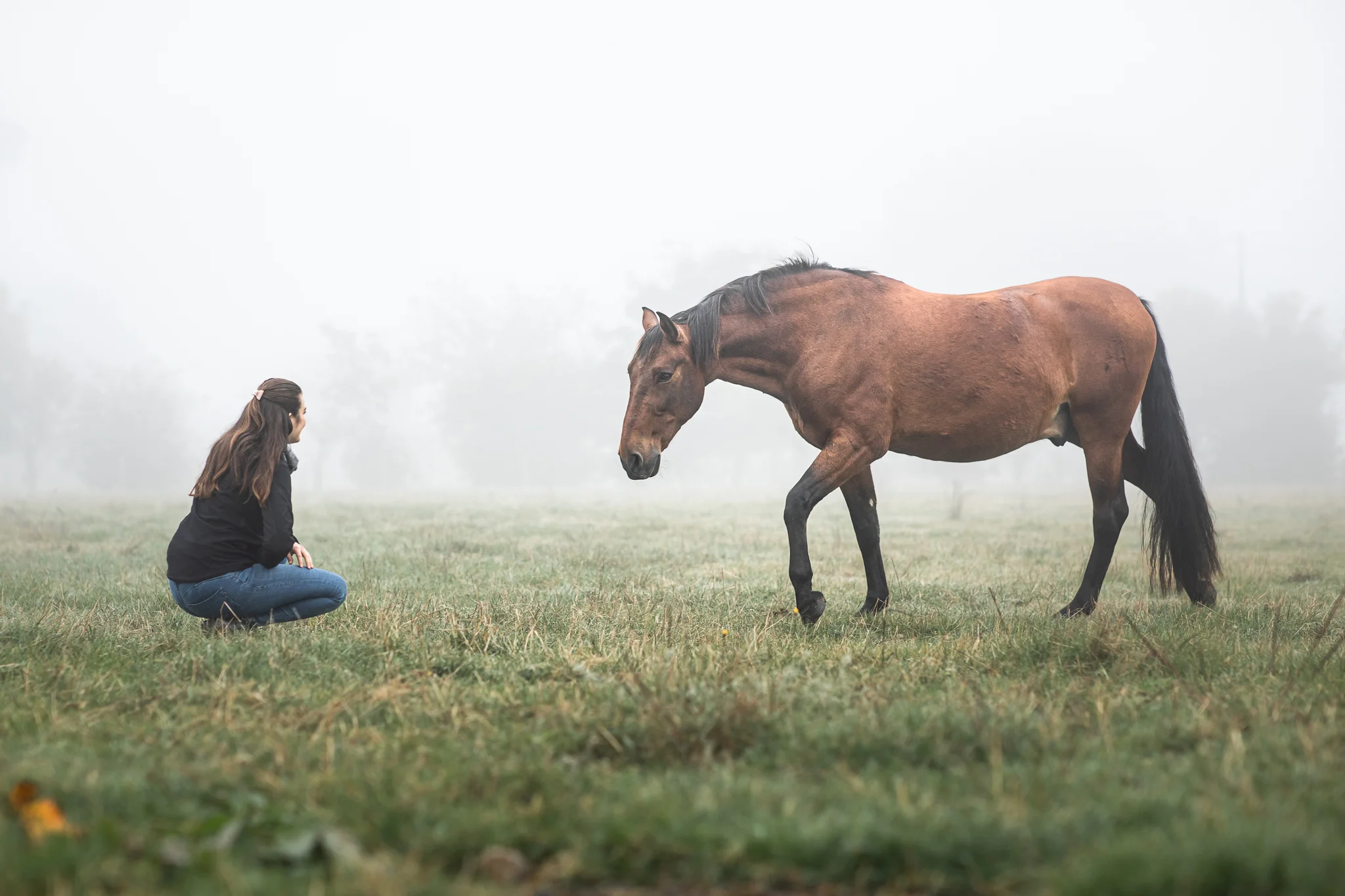 femme accroupie devant un cheval